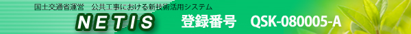 NETISホームページへ